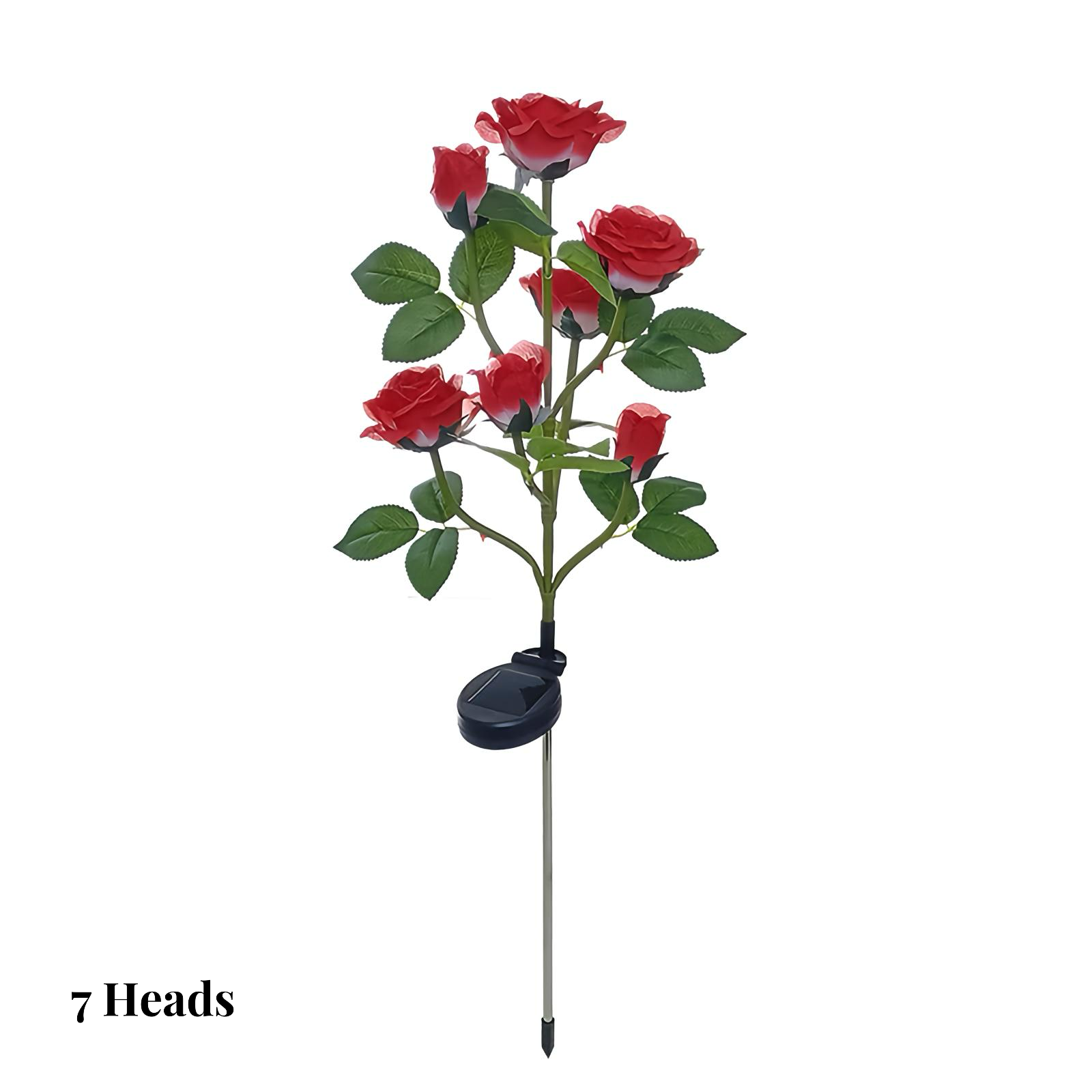 Solar Rose Garden Lights