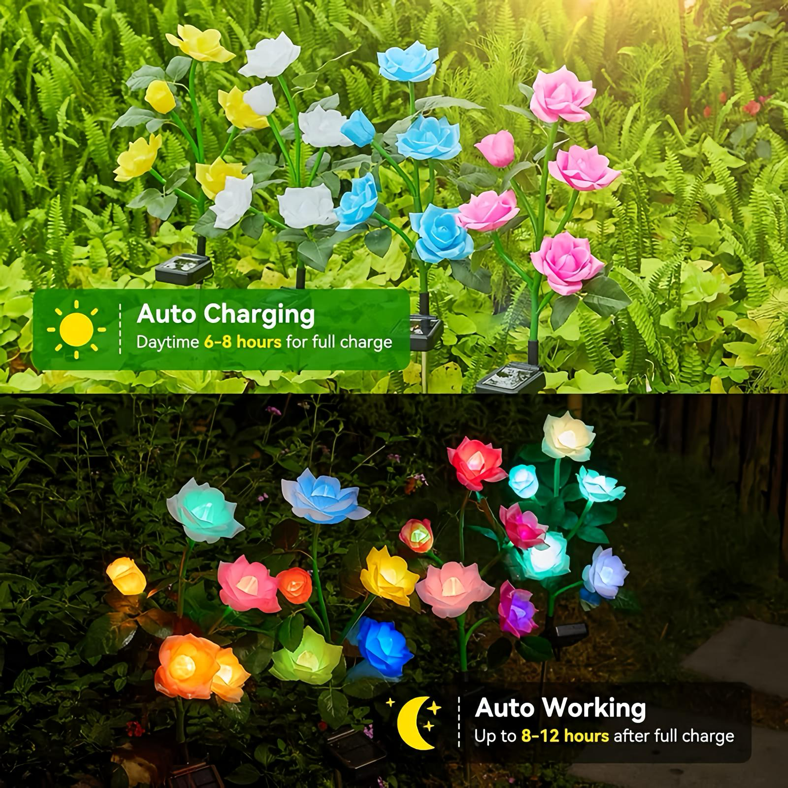 Solar Rose Garden Lights