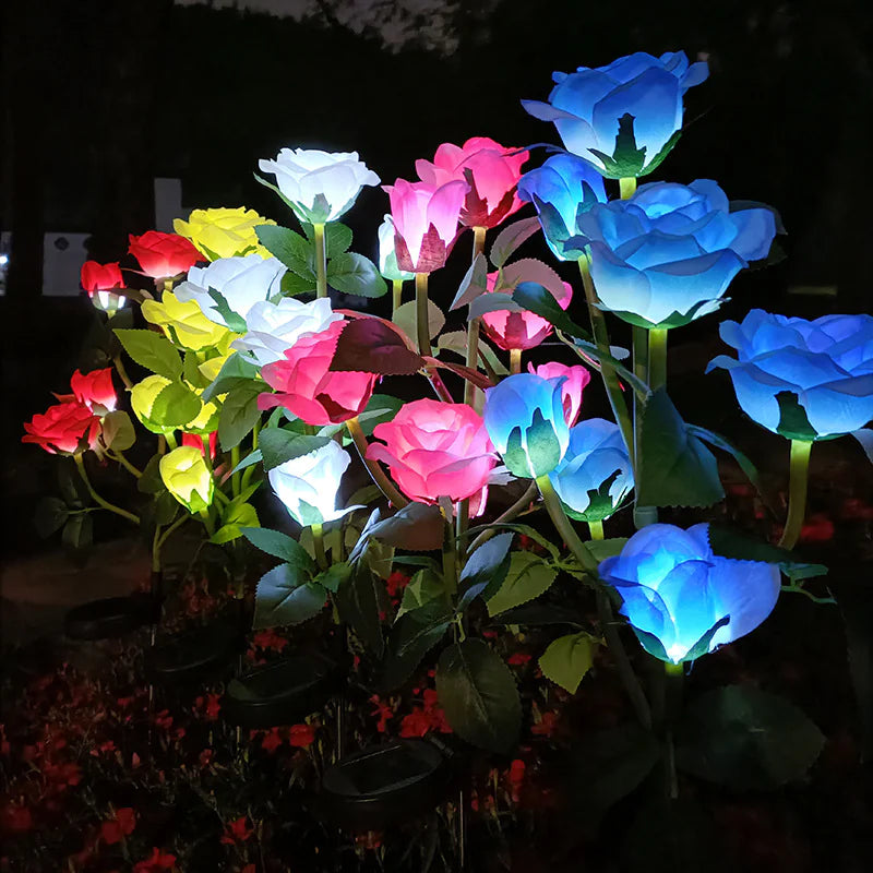 Solar Rose Garden Lights