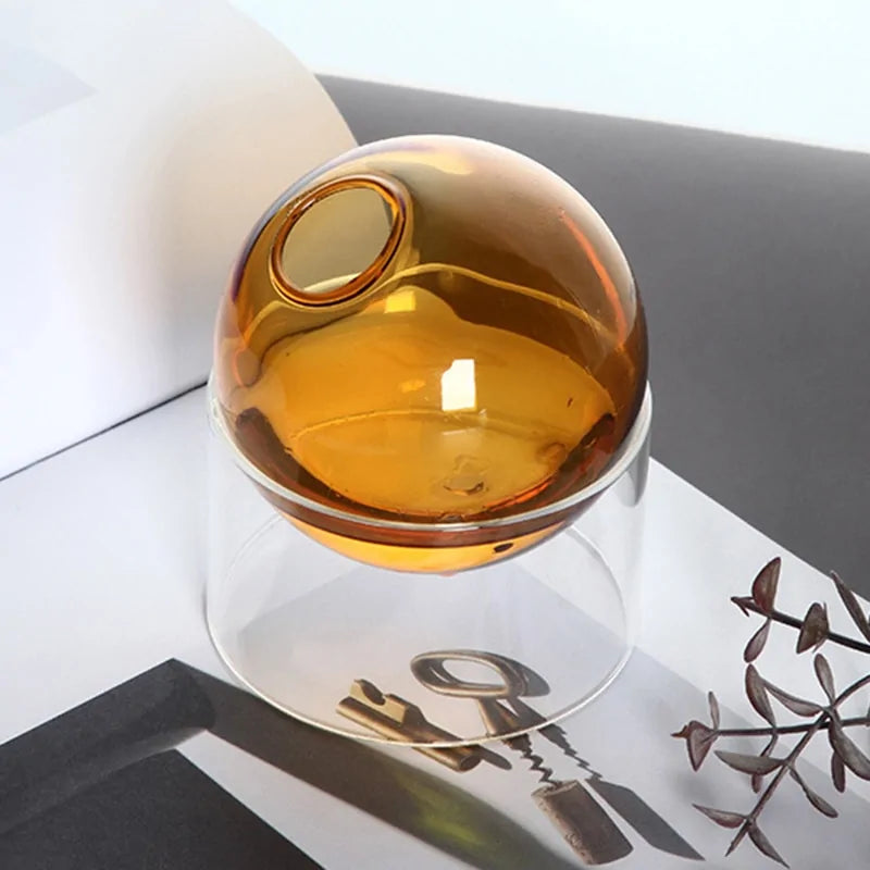 Elegant Hydroponic Glass Vase Stylish Plant Holder for Soil Free Growing