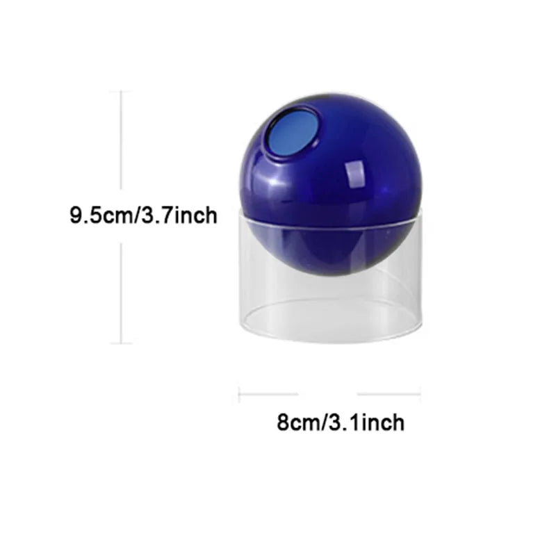 Elegant Hydroponic Glass Vase Stylish Plant Holder for Soil Free Growing