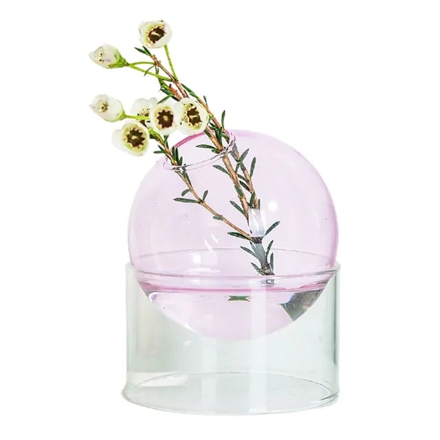 Elegant Hydroponic Glass Vase Stylish Plant Holder for Soil Free Growing