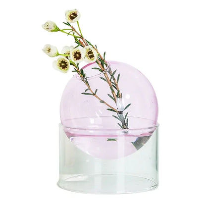 Elegant Hydroponic Glass Vase Stylish Plant Holder for Soil Free Growing