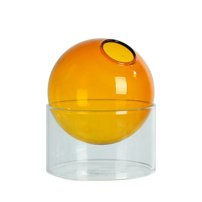 Elegant Hydroponic Glass Vase Stylish Plant Holder for Soil Free Growing