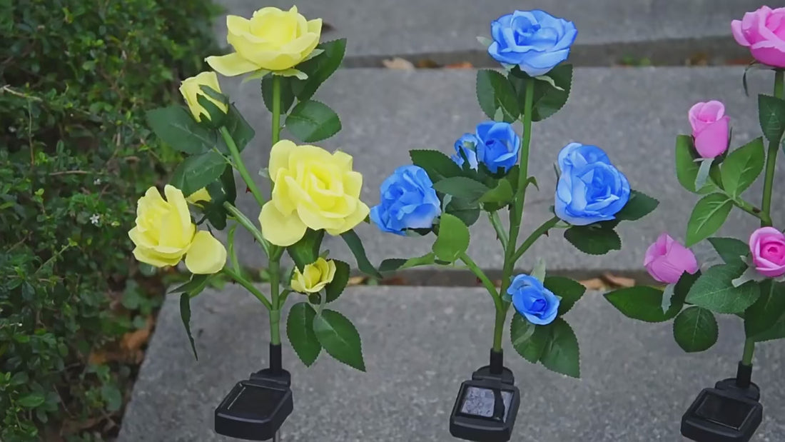 Solar Rose Garden Lights