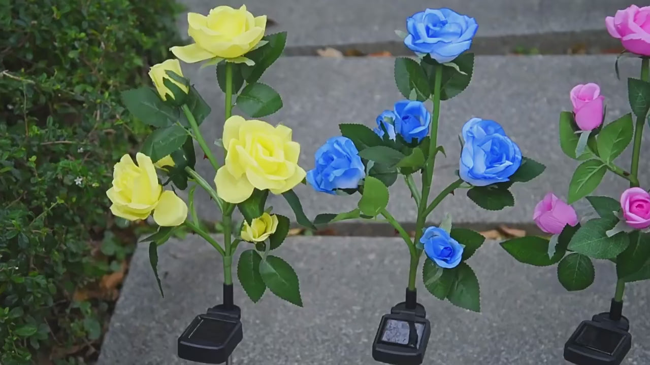 Solar Rose Garden Lights