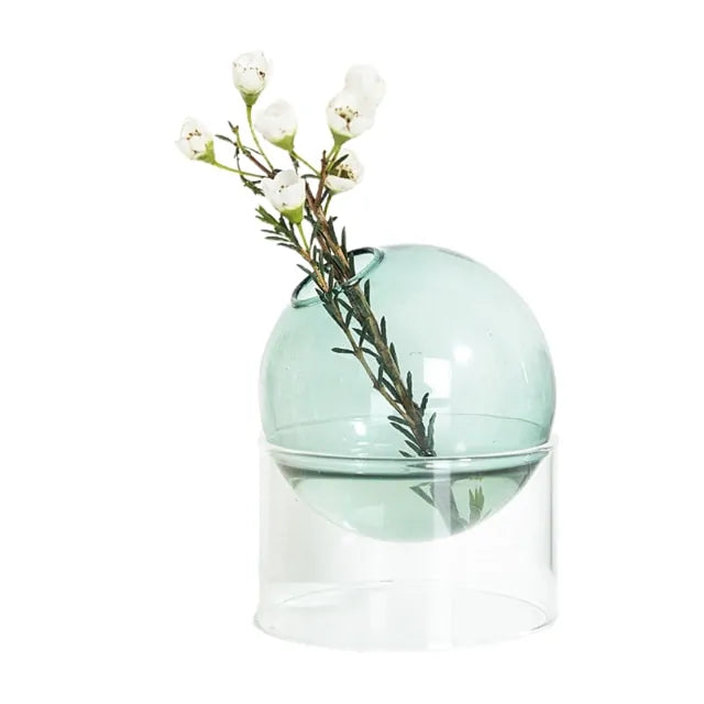 Elegant Hydroponic Glass Vase Stylish Plant Holder for Soil Free Growing